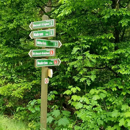 Unser Woidhaisl - Idyllisches Im Bayerischen Wald Prázdninový dům