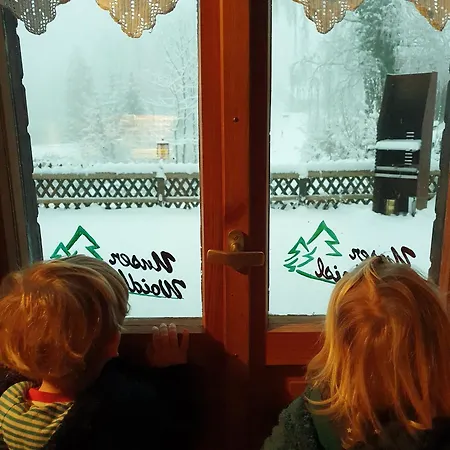 Prázdninový dům Unser Woidhaisl - Idyllisches Im Bayerischen Wald