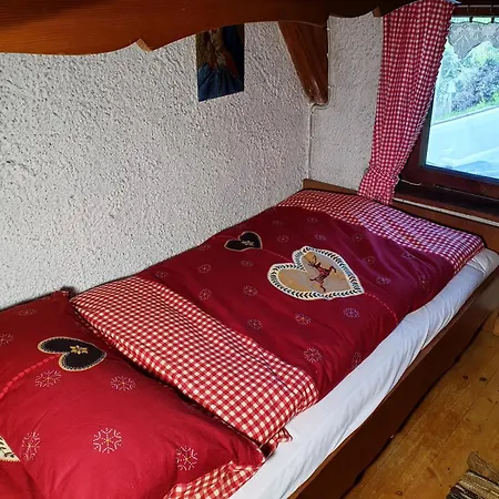 Unser Woidhaisl - Idyllisches Im Bayerischen Wald Holiday home Neukirchen (Lower Bavaria)