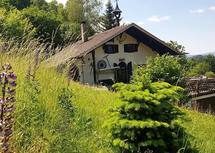 Unser Woidhaisl - Idyllisches Im Bayerischen Wald Vakantiehuis *